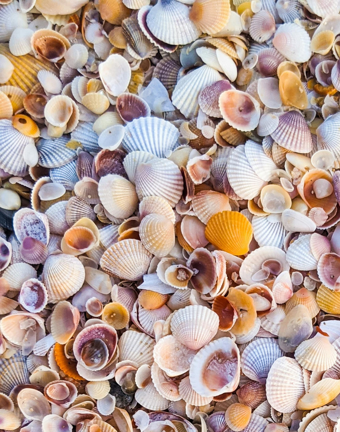 Connecting with Goddess Venus: Emotional Regulation and the psychology of Venusian Embodiment